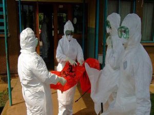 brote-ebola-virus