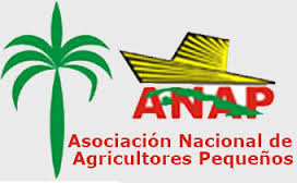 ANAP logo.